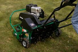 Aerator, Lawn (Large)